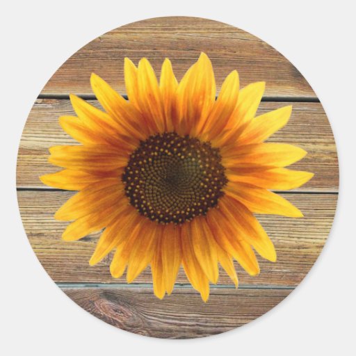 sunflower-sticker-zazzle