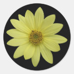 Sunflower Sticker