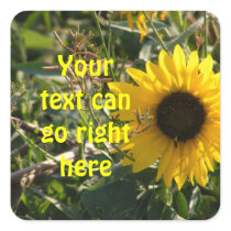 Sunflower Stickers