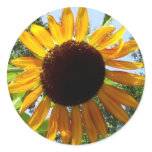 Sunflower Stickers