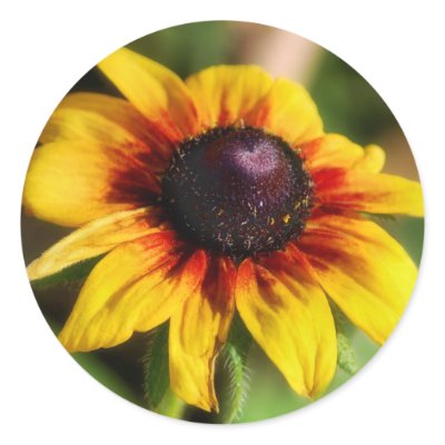 Sunflower Stickers by janoka