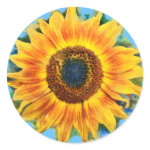 Sunflower Stickers