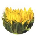 Sunflower Stickers by mlane53 Sunflower Stickers