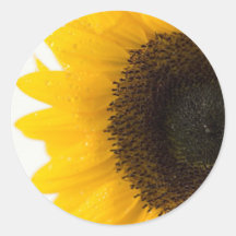 sunflower stickers