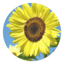 SUNFLOWER STICKERS Daughters Bright Yellow Flowers by Basleeartprintgifts SUNFLOWER STICKERS Daughters Bright Yellow Flowers