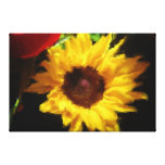Sunflower Stretched Canvas Print
