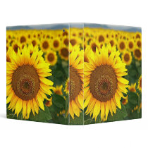 Sunflower Summer - Binder
