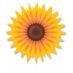 Sunflower Summer Ladies Top