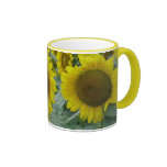 Sunflower Summer Series mugs