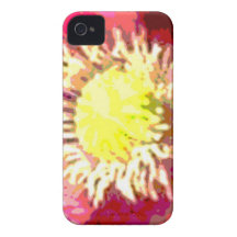 Sunflower Sun Flower iPhone 4 Case-Mate Case
