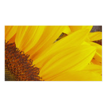 Sunflower Sun Profile Card business cards by Flowerpixels Sunflower Sun Profile Card business cards