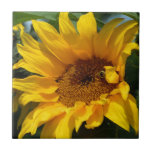 Sunflower Sun Tiles
