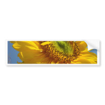 SUNFLOWER SunFlowers Sun Flowers Cards Gifts Mugs Bumper Sticker