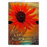 Sunflower Sunrise Cards