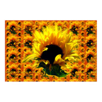 Sunflower Sunrise Large Prints & Posters