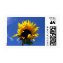 Sunflower Sunrise Stamps