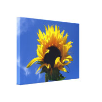 Sunflower Sunrise Wrapped Canvas Sunflower canvas