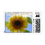 Sunflower Sunshine for your Day!