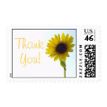 Sunflower Thank You Stamp