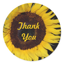 Sunflower, Thank You stickers by Priscilla48 Sunflower, Thank You stickers