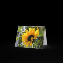 Sunflower @ The Children's Garden cards