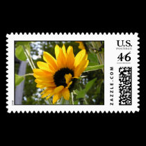 Sunflower @ The Children's Garden postage