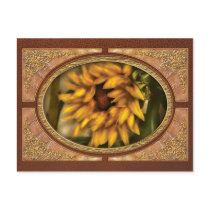 Sunflower - The Sunflower Post Cards