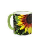 Sunflower Through the Fence Mugs