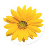 Sunflower - Traditional Sunflower Sticker