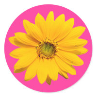 Sunflower - Traditional Sunflower Sticker sticker