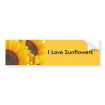 Sunflower Triplettes bumper stickers