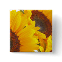 Sunflower Triplettes Pinback Button