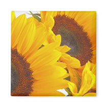 Sunflower Triplettes magnets by Flowerpixels Sunflower Triplettes magnets