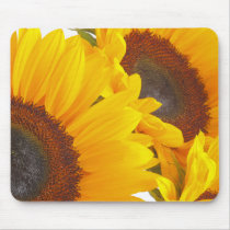 Sunflower Triplettes mousepads by Flowerpixels Sunflower Triplettes mousepads