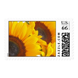 Sunflower Triplettes stamp