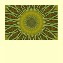 Sunflower t-shirts