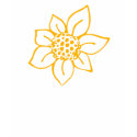Sunflower t-shirts