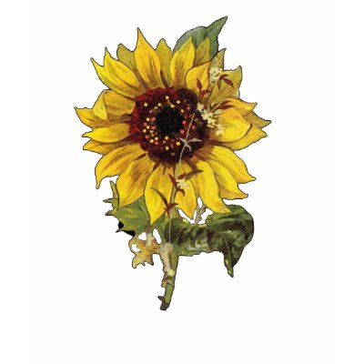 Sunflower Shirt by ArtbyJean