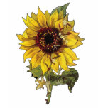 Sunflower t-shirts
