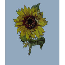 Sunflower t-shirts