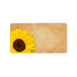Sunflower vintage stained old paper texture labels
