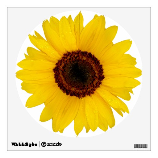 Sunflower Wall Sticker Zazzle