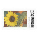 Sunflower Watercolor postage