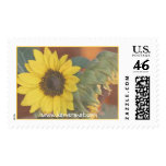 Sunflower Watercolor postage