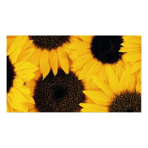 sunflower; website marketing business cards (back side)
