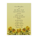 Sunflower  Wedding Invitation postcards