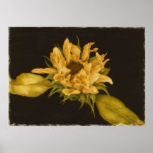 Sunflower with Headache print