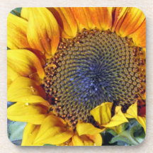Sunflower with water droplets drink coasters