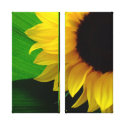 Sunflower Wrapped Canvas wrappedcanvas