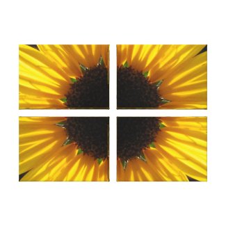Sunflower Wrapped Canvas Stretched Canvas Print